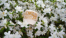 Load image into Gallery viewer, Chase Joy Trucker Hat
