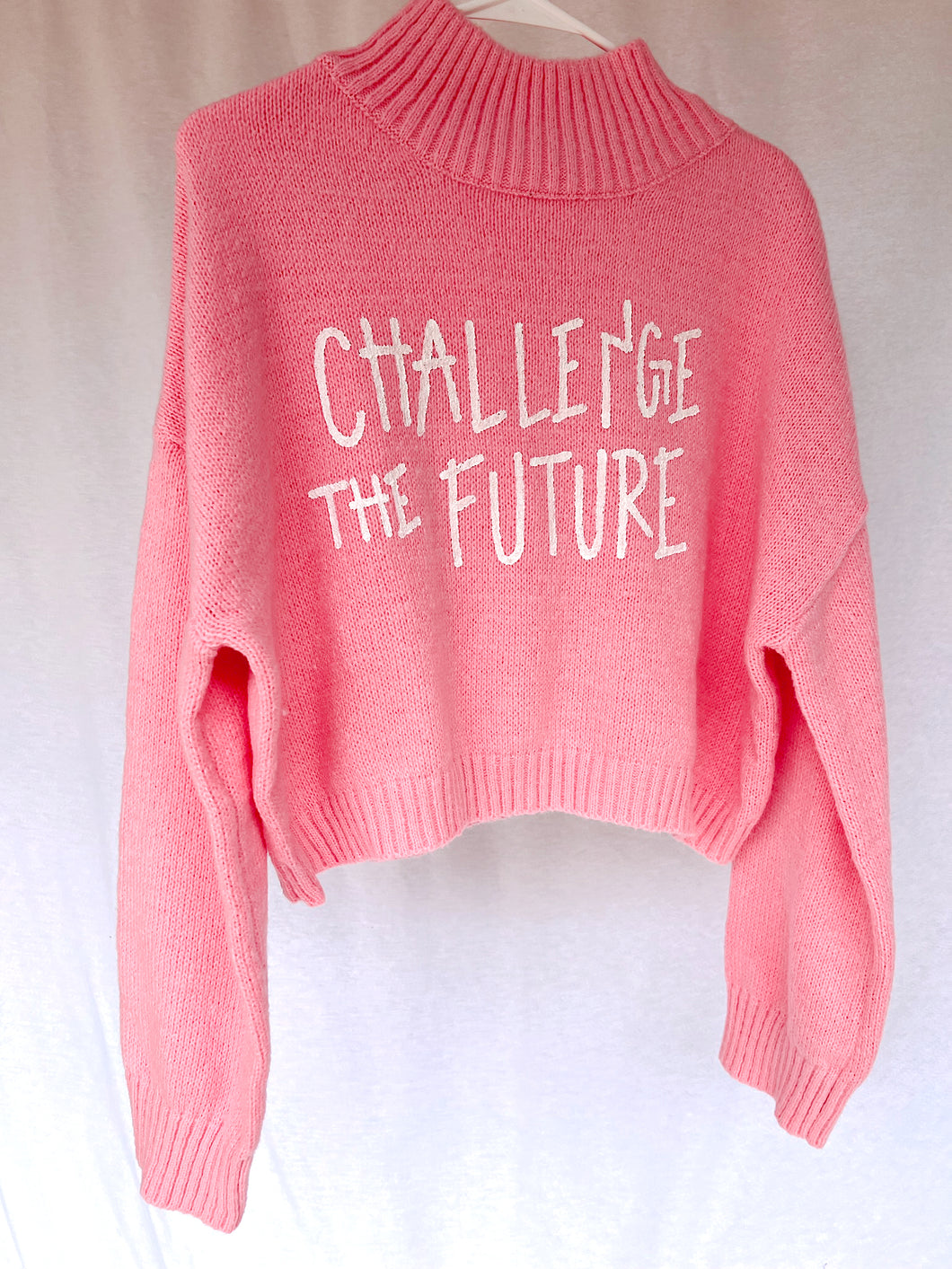 Challenge The Future Sweater